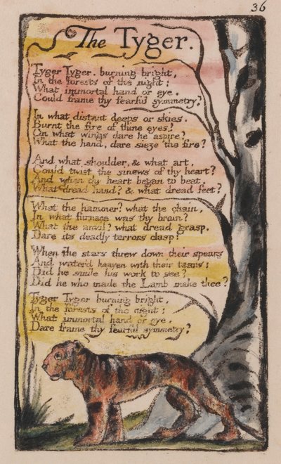 Songs of Innocence and of Experience, Plate 36, The Tyger (Bentley 42) by William Blake